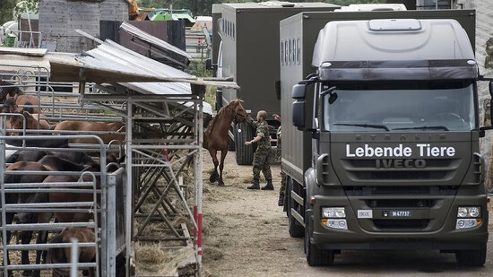 Am 8. August 2017 transportierte die Armee Tiere vom Landwirtschaftsbetrieb in Hefenhofen TG ab.