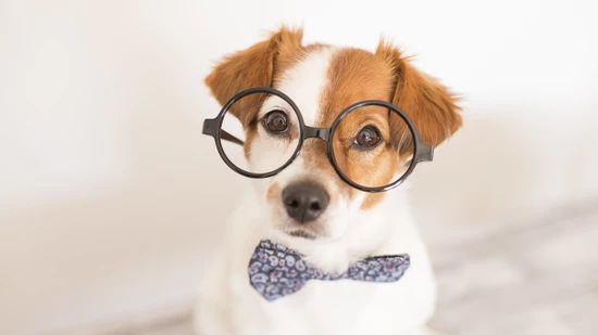 Logisches Denken: Testet euer Gehirn in diesem Quiz.