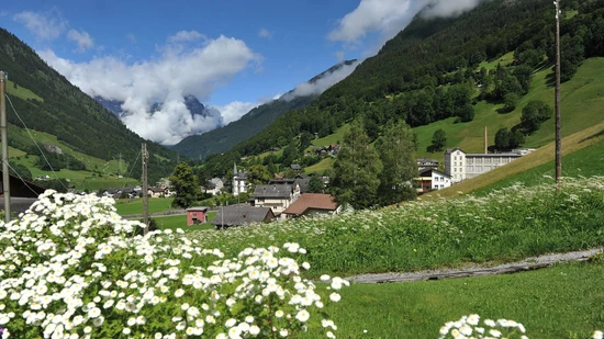 In Engi, hier eine Aufnahme aus dem Jahr 2012, ereignete sich in der Nacht auf Samstag der Wolfsriss.