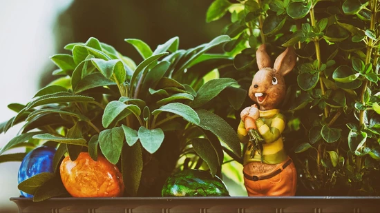 Bunte Eier und Co.: Auch wenn Ostern vorbei ist, die vielen Schoggigeschenke bleiben trotzdem noch übrig.