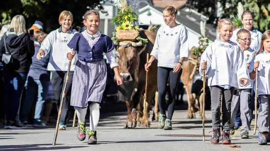 Bald läuten wieder Kuhschellen: Die Sennte der Alp Nidersee-Grappli kehrt ins Tal zurück – zu bestaunen am 24. September wieder in Näfels. 