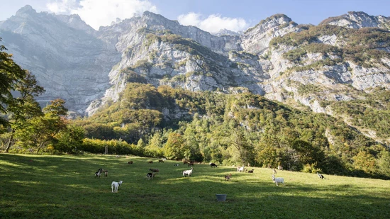 Time to say goodbye: Der Sommer ist definitiv vorbei. Am Wochenende gibts in den höheren Lagen teilweise Schnee.