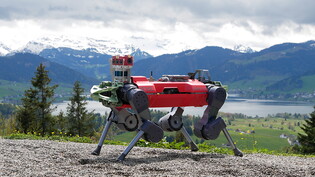 Der Roboter-Hund im Mai 2021 auf Wandertour am Etzel. (zVg)