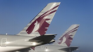 Der Streit zwischen Airbus und Qatar Airways geht in eine neue Runde. Der Flugzeugbauer kündigte der Airline einen Auftrag für seinen aktuell schwer verfügbaren neuen Jet A321neo, wie Airbus am Freitag auf Nachfrage bestätigte. (Archivbild)