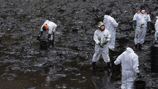 Arbeiter säubern ausgelaufenes Öl  von einem Strand in der Region Callao in Peru.
