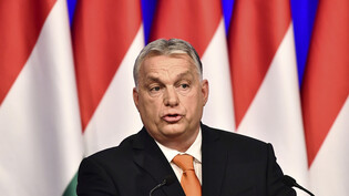 Will Banken, Versicherungen, Supermärkte, Handels- und Energieunternehmen, Telekomfirmen und Fluggesellschaften stärker zur Kasse bitten: Ungarns Premierminister Viktor Orban. (Archivbild)