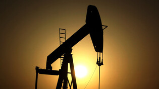 Das Ölkartell Opec+ hat einen Weltmarktanteil von etwa 45 Prozent. (Archivbild)