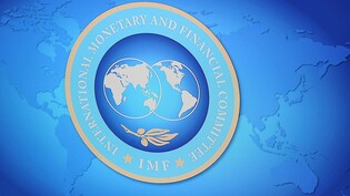 Sri Lanka steckt in einer verheerenden Finanzkrise und verhandelt mit dem IWF über ein Hilfspaket. (Symbolbild)