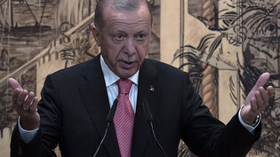 Recep Tayyip Erdogan, Präsident der Türkei, hält eine Rede während einer Unterzeichnungszeremonie im Dolmabahce-Palast. Foto: Khalil Hamra/AP/dpa