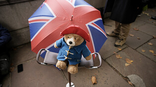 Mehr als 1000 Paddington-Plüschbären und andere Teddys, die Trauernde nach dem Tod der britischen Königin Elizabeth II. niedergelegt hatten, kommen einer Wohltätigkeitsorganisation für Kinder zugute.