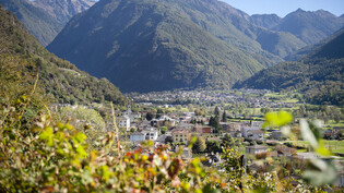 Tragischer Vorfall in Roveredo: Die Kantonspolizei Graubünden sucht Zeugen, die Aussagen über den Tod einer 19-Jährigen machen können. 