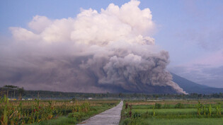 Der Vulkan Semeru ist seit zwei Jahren wieder verstärkt aktiv. Foto: Uncredited/AP/dpa