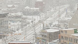 Autos fahren auf einer schneebedeckten Straße in Seosan in der Provinz South Chungcheong im Zentrum Südkoreas. Foto: YNA/dpa