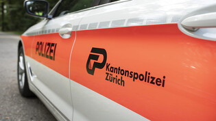 Drei mutmassliche Autodiebe haben am Freitagabend mit einem gestohlenen Auto in Winterthur ZH eine "halsbrecherische Flucht" vor der Polizei hingelegt. Die Spritztour endete auf einem Baumstrunk im Wald und einer missglückten Flucht zu Fuss. (Archivbild)