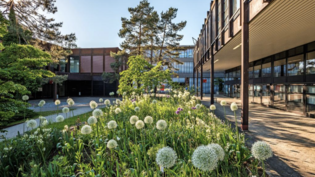 Klimafreundlicher: Die Fachhochschule Ost in Rapperswil bekommt ein neues Heizsystem.