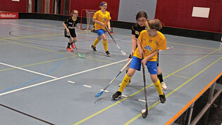 Die Spielerinnen von Floorball Heiden (in Gelb) waren den Davoserinnen körperlich teilweise ziemlich überlegen. 