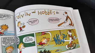 Eine einzigartige Freundschaft: Wenn Calvin mit seinem Plüschtiger Hobbes alleine ist, verwandelt sich dieser in einen lebendigen Tiger.