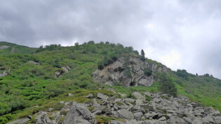 Steindurchsetzte Weide: Über diesen Fels auf der Alp Cristallina fielen die Schafe.