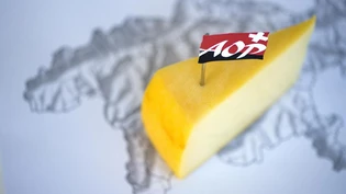 AOP Label Käse  Bündner Karte