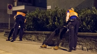 Polizei Stapo Stadtpolizei