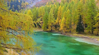 Herbststimmung am Palpuognasee 8.10.2015