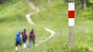 Jeder Strich und Färbung hat seine Bedeutung. Viele kennen sie nicht und bringen sich damit in Gefahr.
