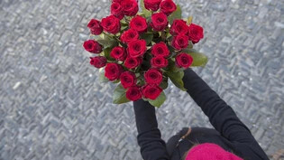rote Rosen Valentinstag