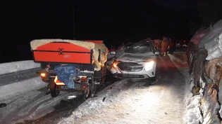 Durchgebrannt: ein Pferdegespann machte sich selbständig.