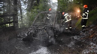 Der Quad auf der Waldstrasse oberhalb von Haldenstein.