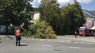 20 Minuten lang war die Strecke gesperrt. 