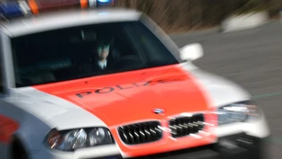 Die Landespolizei des Fürstentums Liechtenstein konnte den verwirrten Mann festnehmen.