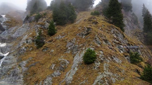 Der 37-Jährige stürzte gemäss ersten Erkenntnissen rund 80 Meter einen Abhang hinunter.