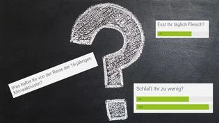 Fleisch kommt nicht jeden Tag auf den Teller.