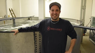 Die Vorbereitungen laufen: Andreas Suter möchte im Bofil-Fabrikareal in Rüti Garnelen züchten.