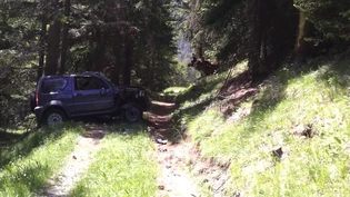 Das Auto überschlug sich und landete wieder auf dem Feldweg.