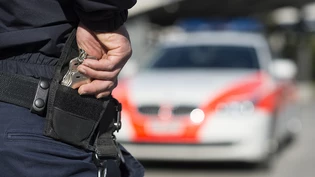 In Chur versuchte am Freitagabend ein Mann mit seinem Wagen vor einer Polizeikontrolle zu fliehen. (Symbolbild)