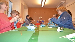 Fleissig: Die Schwänderinnen um Claudia Zimmermann-Gambarara (hinten rechts) treffen sich in der kalten Jahreszeit zum gemeinsamen Stricken.