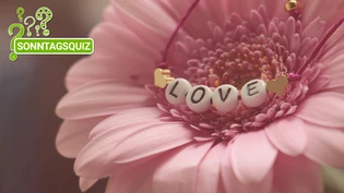 Der Valentinstag wird als Tag der Liebenden gefeiert.