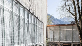 Mindestens provisorisch gelöst: Netze vor den Fenstern sollen verhindern, dass Vögel gegen die Glasscheiben prallen.