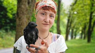 Sie hat  – vorübergehend  – einen Vogel: Gloria Welter lässt sich von ihrem Verlobten mit dem Rabenkind ablichten, das sie aus dem Fluss gerettet hat.  Pressebild