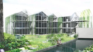 Der Neubau auf dem Areal der Eberle Floristik in Näfels soll in der Formgebung an die alten Gewächshäus erinnern.