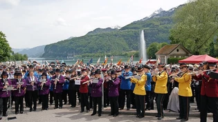 Eindrücklich: Am Kreismusiktag 2012 spielten in Weesen alle Formationen gemeinsam auf. 