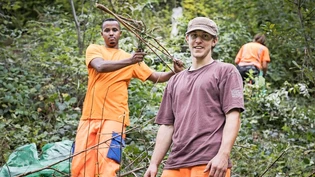 Den Zivildienst im Forst von Glarus Süd gewählt: Nicolas Emmenegger reisst mithilfe von Mohamad Ali Ali Neophyten am Waldrand von Rüti heraus.