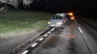 Am Fahrzeug entstand kein Sachschaden, der Fussgänger musste aber mit unbestimmten Verletzungen ins Spital.