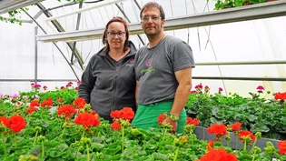 Haben einen grünen Daumen: Michaela Arrigo und Holger Lang leisten mit biologischen Pflanzenschutzmitteln einen Beitrag an die Umwelt. Bild Werner Beerli-Kaufmann