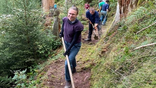 Wald-Zukunft: Die Pflege des Schutzwaldes – wie hier mit Freiwilligen oberhalb von Mitlödi – ist unerlässlich, wenn man klimaresistente Wälder fördern möchte.