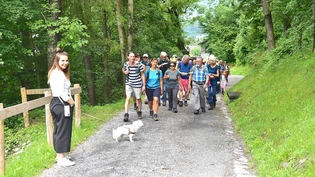 Es ging durch viel Grün, aber auch ...