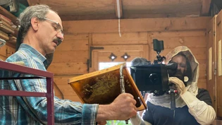 Geduldig: Stefan Manser erklärt dem Filmteam seine Arbeit im Bienenhaus.