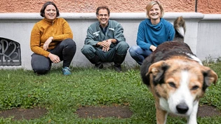 Wachablösung: Laura Menzi (links) und Sandra Kapica übernehmen die Grosstierpraxis von Ralph Landerer und ziehen mit dieser nach Netstal um. 