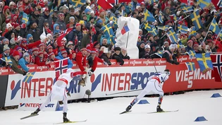 In Falun werden in der kommenden Saison zwei neue Langlauf-Formate stattfinden